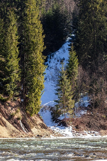 Naturaleza del oeste de Ucrania Montañas, ríos y bosques Refugio para refugiados de guerra Salida de los territorios ocupados Guerra en Ucrania