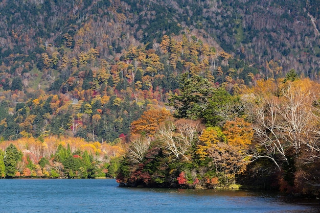 Naturaleza otoñal en el lago yuno