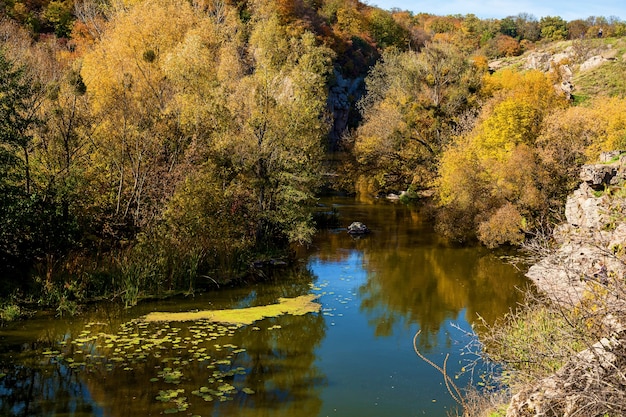 Naturaleza en el otoño de Beech Canyon Ucrania Lugares y viajes interesantes en Ucrania