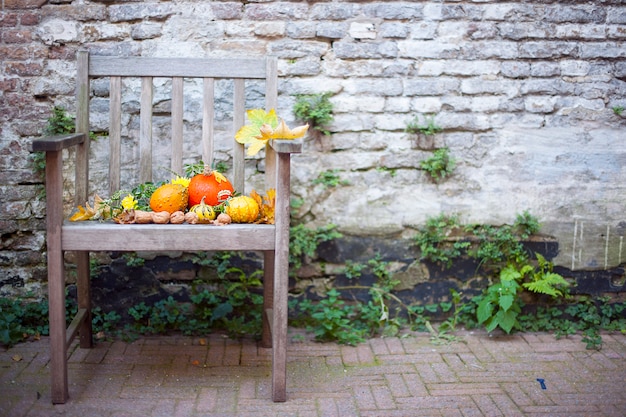 Naturaleza de otoño. Caída de fruta en madera. Acción de gracias. verduras de otoño en una vieja silla en el jardín, espacio libre para texto