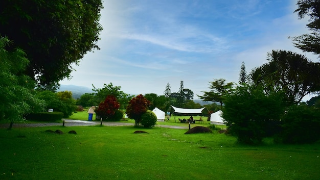 naturaleza Paisaje de árboles, bosques y montañas.