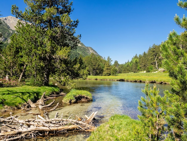 Naturaleza en el Parque Nacional de Aiguestortes en Pirineos Cataluña España