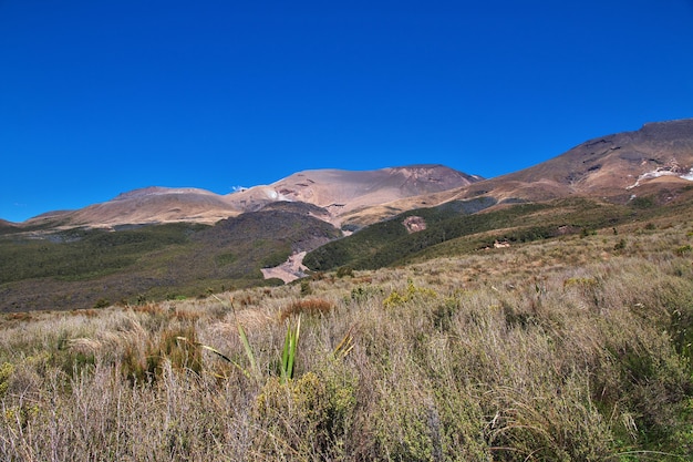 Naturaleza del parque nacional de Tongariro en Nueva Zelanda