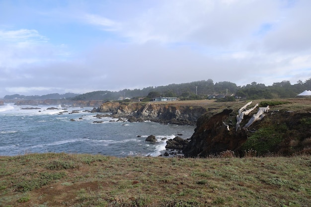 Naturaleza en los parques de Mendocino en California