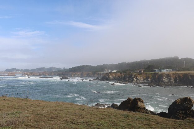 Naturaleza en los parques de Mendocino en California