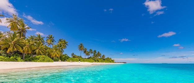 Foto naturaleza de la playa playa de arena de mar de palmeras en una isla tropical idílica paradisíaca paisaje exótico para soñar