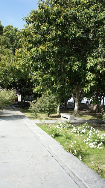 Foto naturaleza de portugal