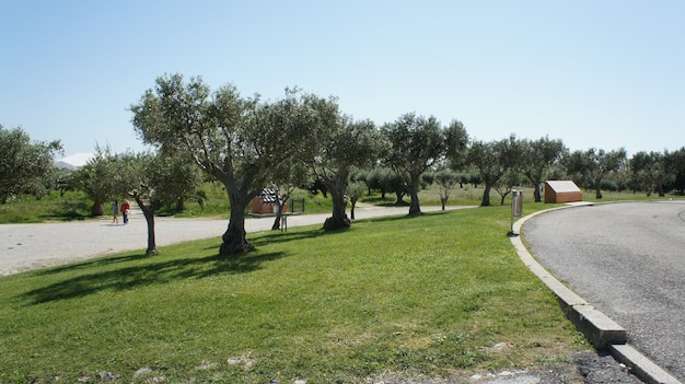 Foto naturaleza de portugal