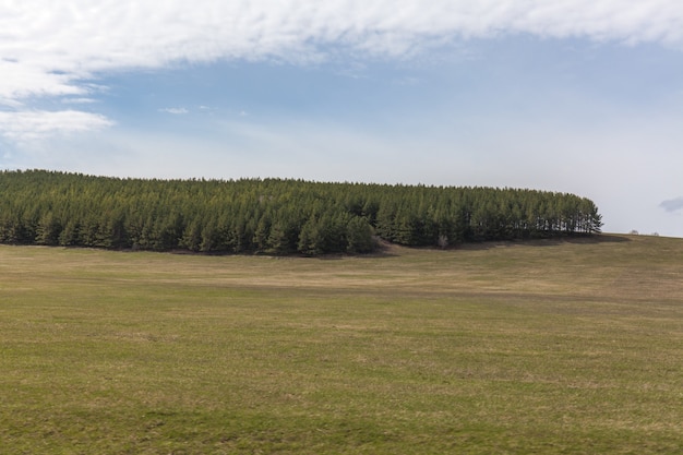 Naturaleza primaveral, paisaje forestal. Cielo nublado, Rusia