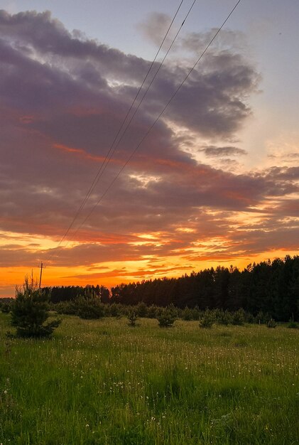 Naturaleza puesta de sol sobre el fondo de campos y bosques en la distancia