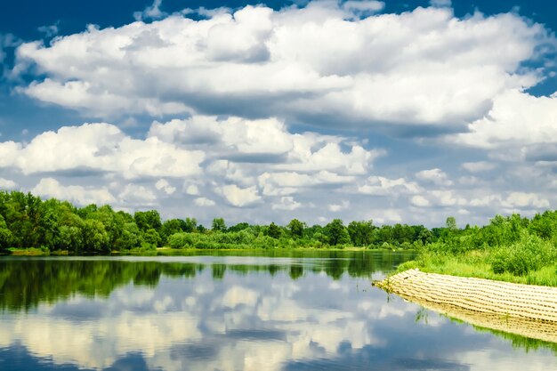 naturaleza, río a lo largo del bosque