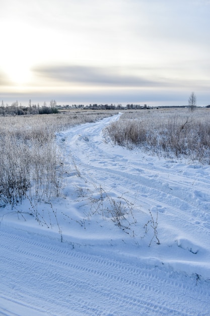 Naturaleza de Rusia en un invierno helado