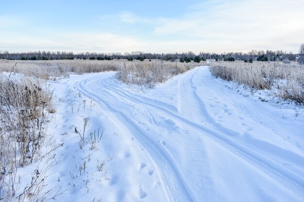 Naturaleza de Rusia en un invierno helado