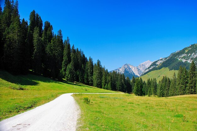 Naturaleza de la ruta de senderismo