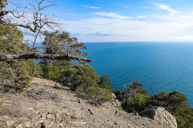 Naturaleza en el sendero Golitsyn Paisajes del Mar Negro y las montañas de Crimea Crimea