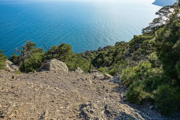 Naturaleza en el sendero Golitsyn Paisajes del Mar Negro y las montañas de Crimea Crimea