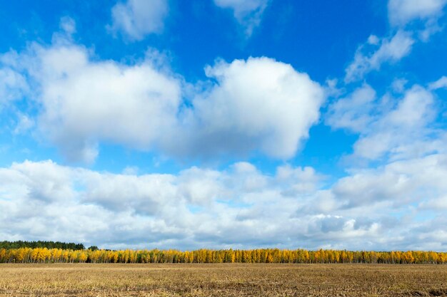 Naturaleza en temporada de otoño