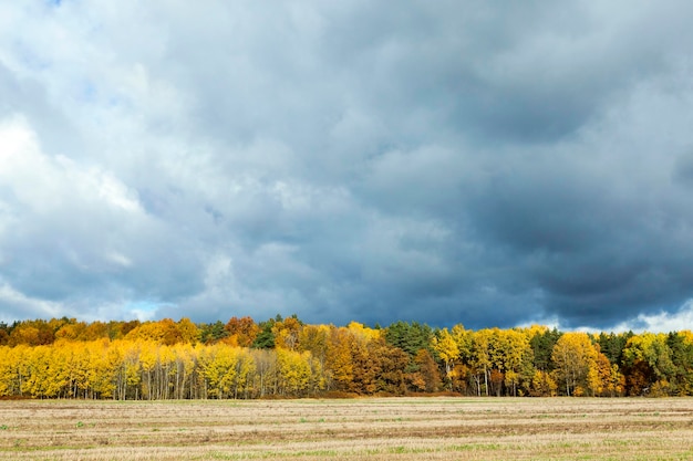 Naturaleza en temporada de otoño