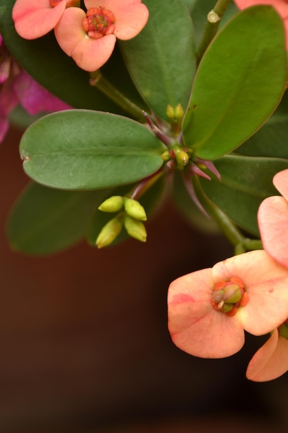 la naturaleza en todo su esplendor