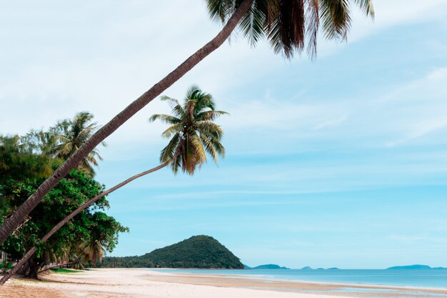 Naturaleza tropical playa limpia y arena blanca en verano con sol cielo azul claro y fondo bokeh.