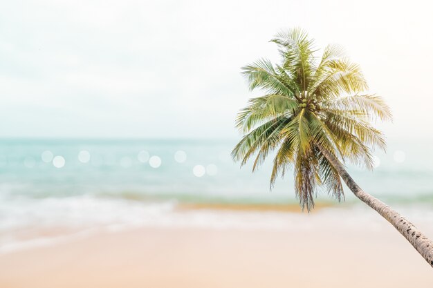 Foto naturaleza tropical playa limpia y arena blanca en verano con sol cielo azul claro y fondo bokeh.