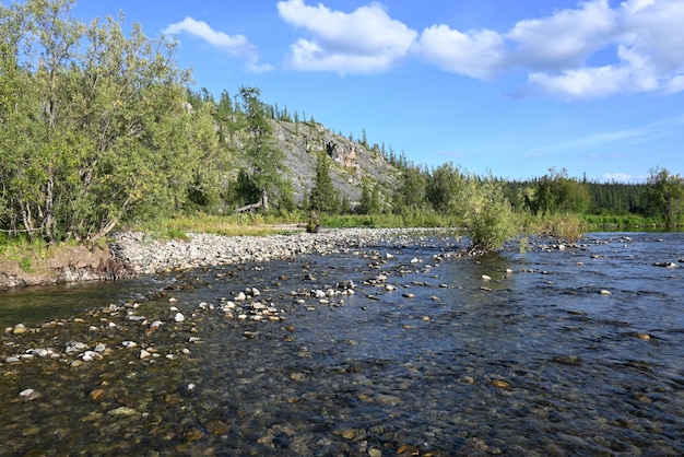 La naturaleza de los Urales Subpolares