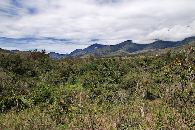 Naturaleza del valle de Wamena, Papua, Indonesia