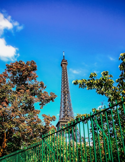 La naturaleza ve la arquitectura y la vida de la ciudad de París en Francia