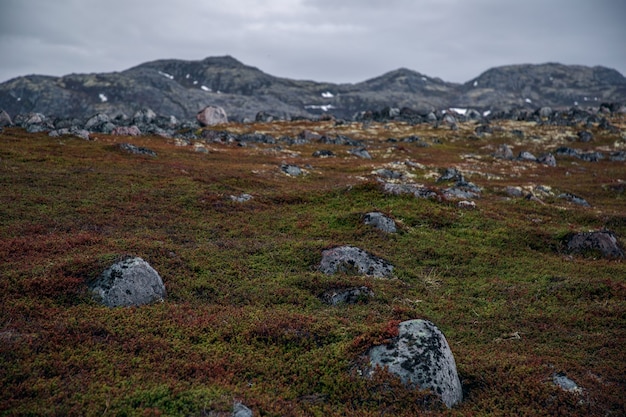 Naturaleza y vegetación de la península de Kola