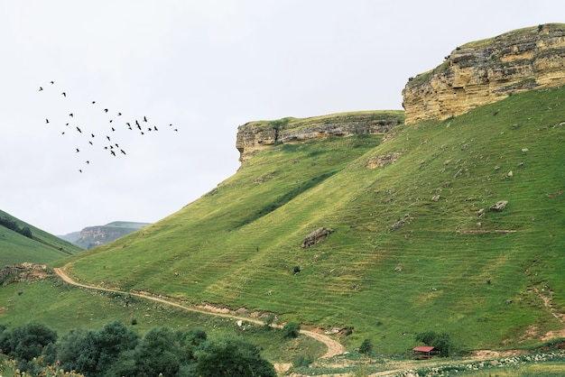 Naturaleza de verano. Hermoso paisaje de colinas y montañas verdes