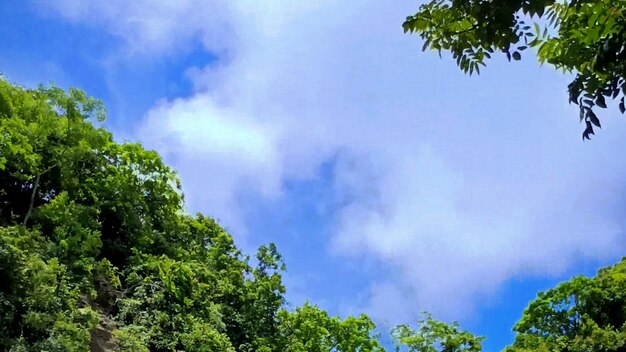 La naturaleza verde el cielo azul la colina de Chandranath