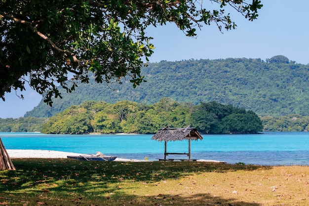 La naturaleza virgen de Nueva Caledonia con sus bellos paisajes