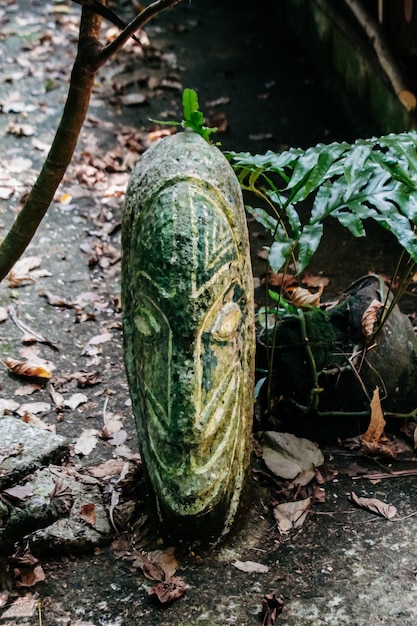 La naturaleza virgen de Nueva Caledonia con sus bellos paisajes