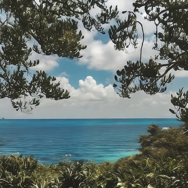 una naturaleza con vistas al mar