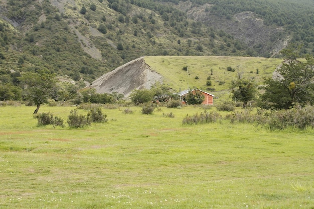 Naturaleza en w trek Patagonia