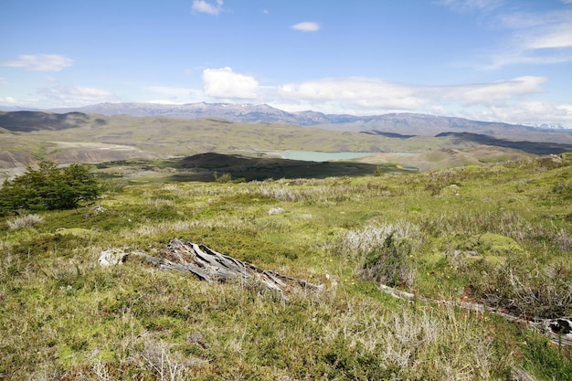 Naturaleza en w trek Patagonia