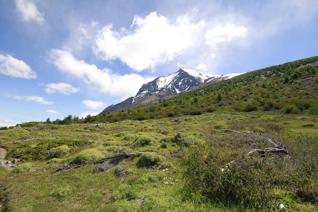 Naturaleza en w trek Patagonia