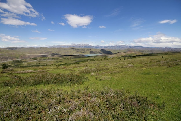 Naturaleza en w trek Patagonia