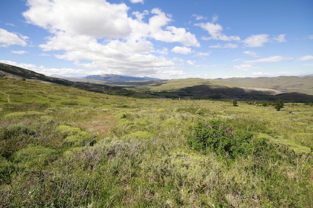 Naturaleza en w trek Patagonia