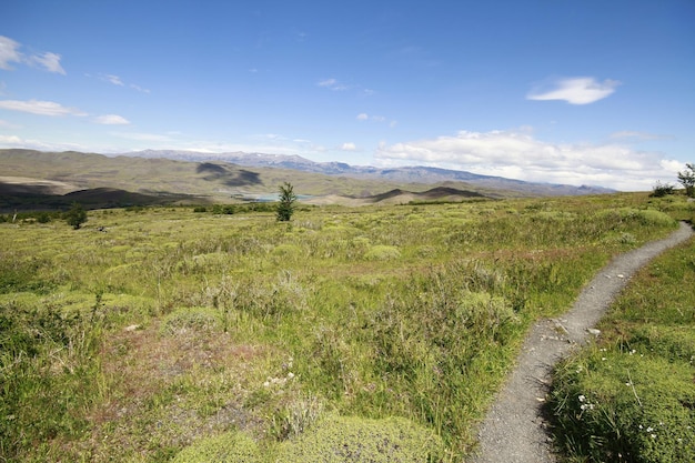 Naturaleza en w trek Patagonia