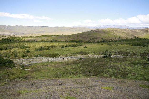 Naturaleza en w trek Patagonia