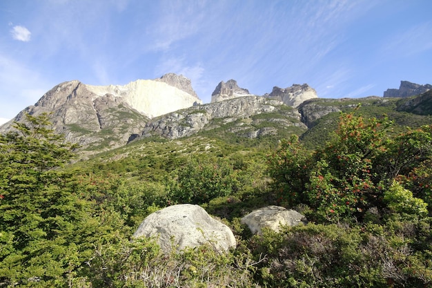 Naturaleza en w trek Patagonia