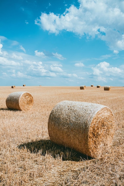 Foto naturaleza