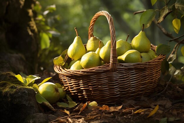 Foto naturalezas pera dulzura en abundancia fotografía de imágenes pera