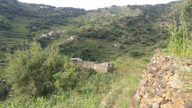 NATURBILDER AUS DEM JEMEN IBB BANI WARD ALASHOUB