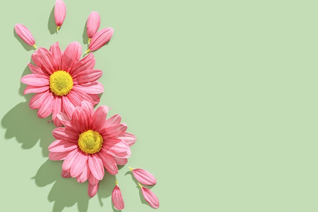 Naturdesign-Minimalkarte mit zwei rosafarbenen Blumen, Draufsicht mit Schatten und Fliegenblättern im Sommer