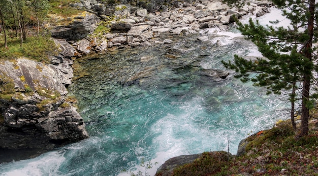 Natureza áspera na paisagem norueguesa no verão