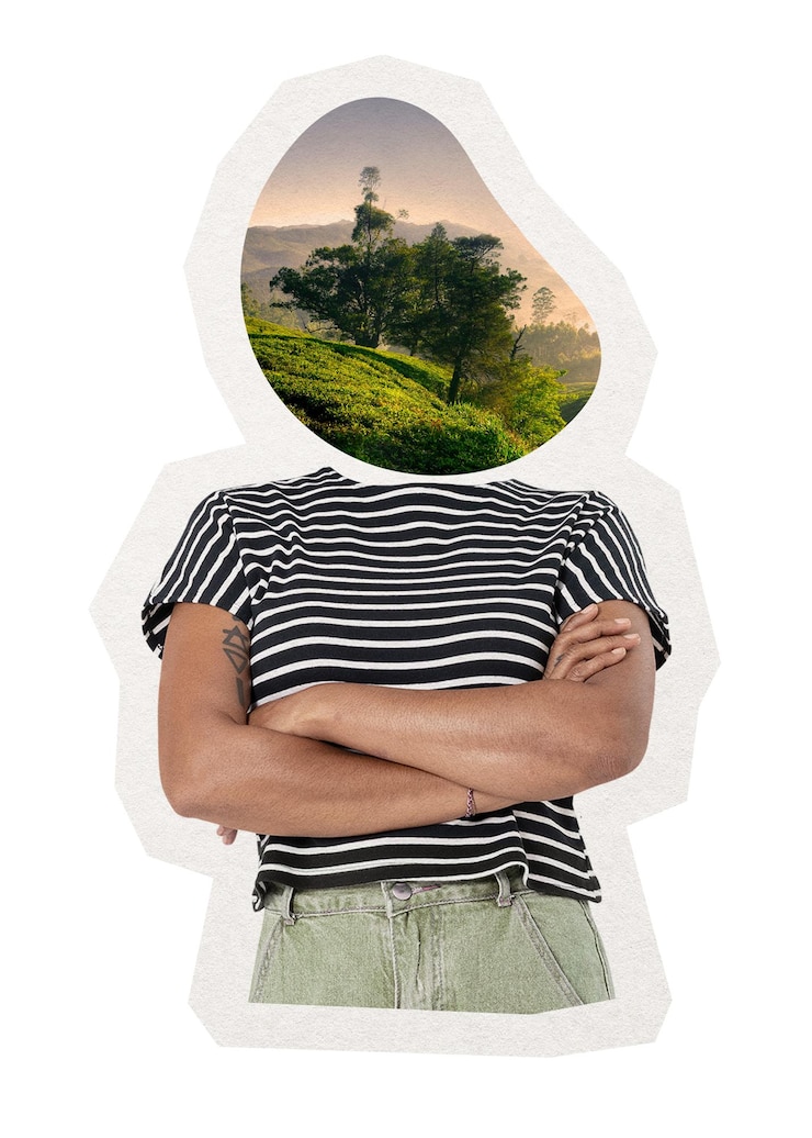 Foto natureza cabeça mulher png cortar ambiente mídia remixada