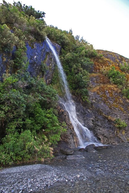 Foto natureza da geleira franz josef, na nova zelândia