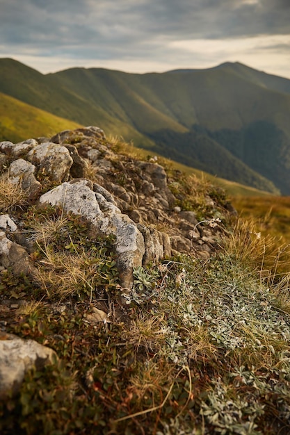 Natureza da montanha nas montanhas dos Cárpatos Ucrânia Caminhadas e trilhas no cume de Borzhava Área rural das montanhas dos Cárpatos no outono